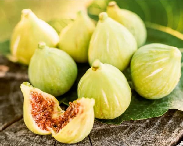 تصویر 2 از قیمت خرید انجیر سفید گلابی + فروش ویژه